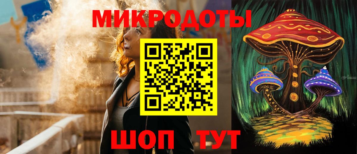 Псилоцибиновые грибы Psilocybine cubensis Бирск